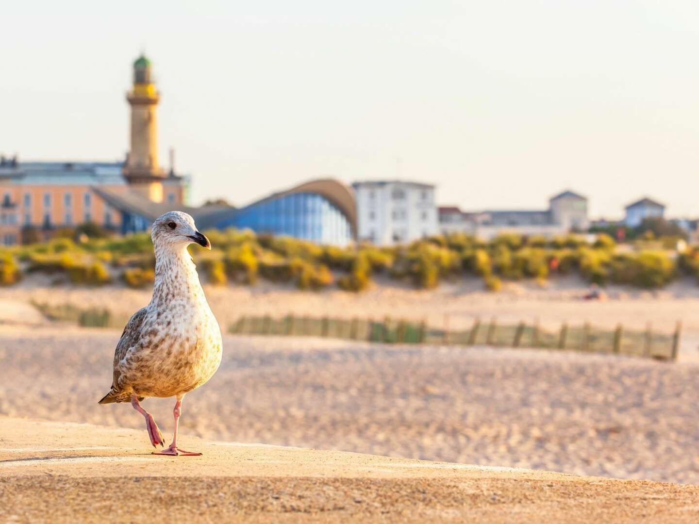 Urlaubszeit in Rostock