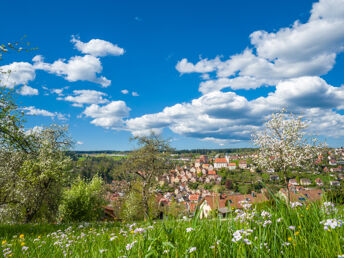 4 Tage Schwarzwald