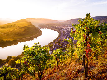 4 Tage Aktivurlaub: Entspannung am Flussufer der Mosel und Verwöhnzeit in der Vulkaneifel Therme