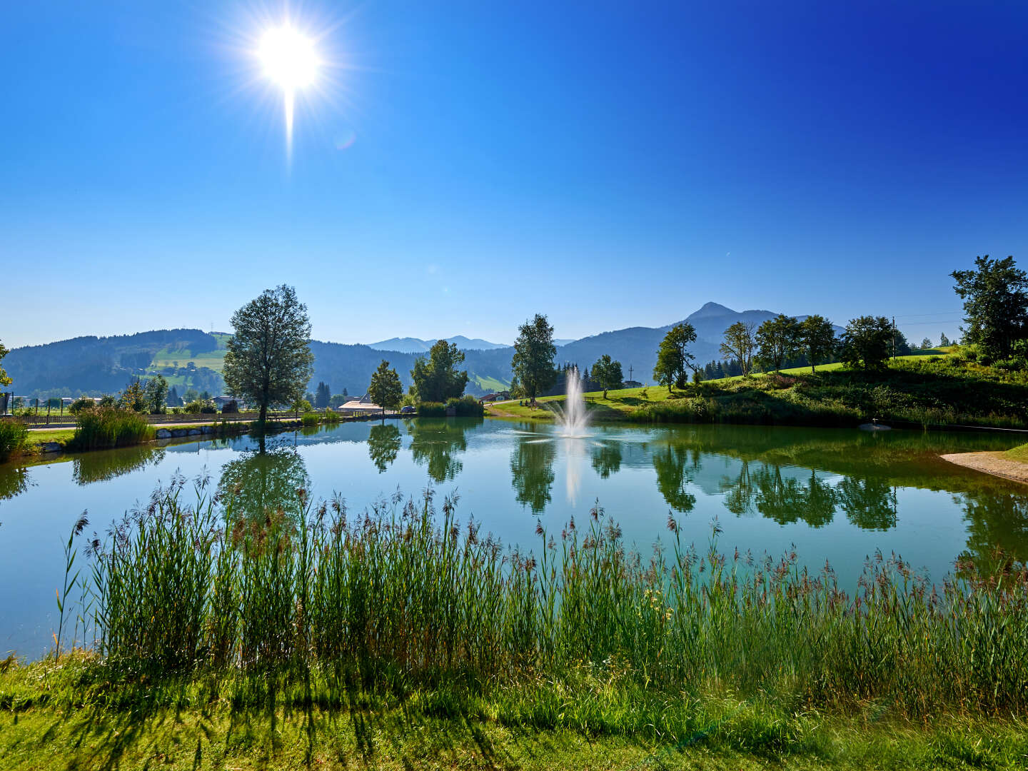 Familienurlaub in Sonnberg Flachau - Natur & Sommerspaß für alle | 5 Nächte