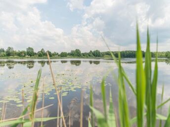 Alle guten Dinge sind drei ... 4 Tage im Havelland