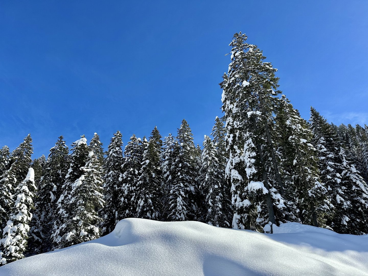 WinterZAUBER in der Hochsteiermark | 3 Nächte