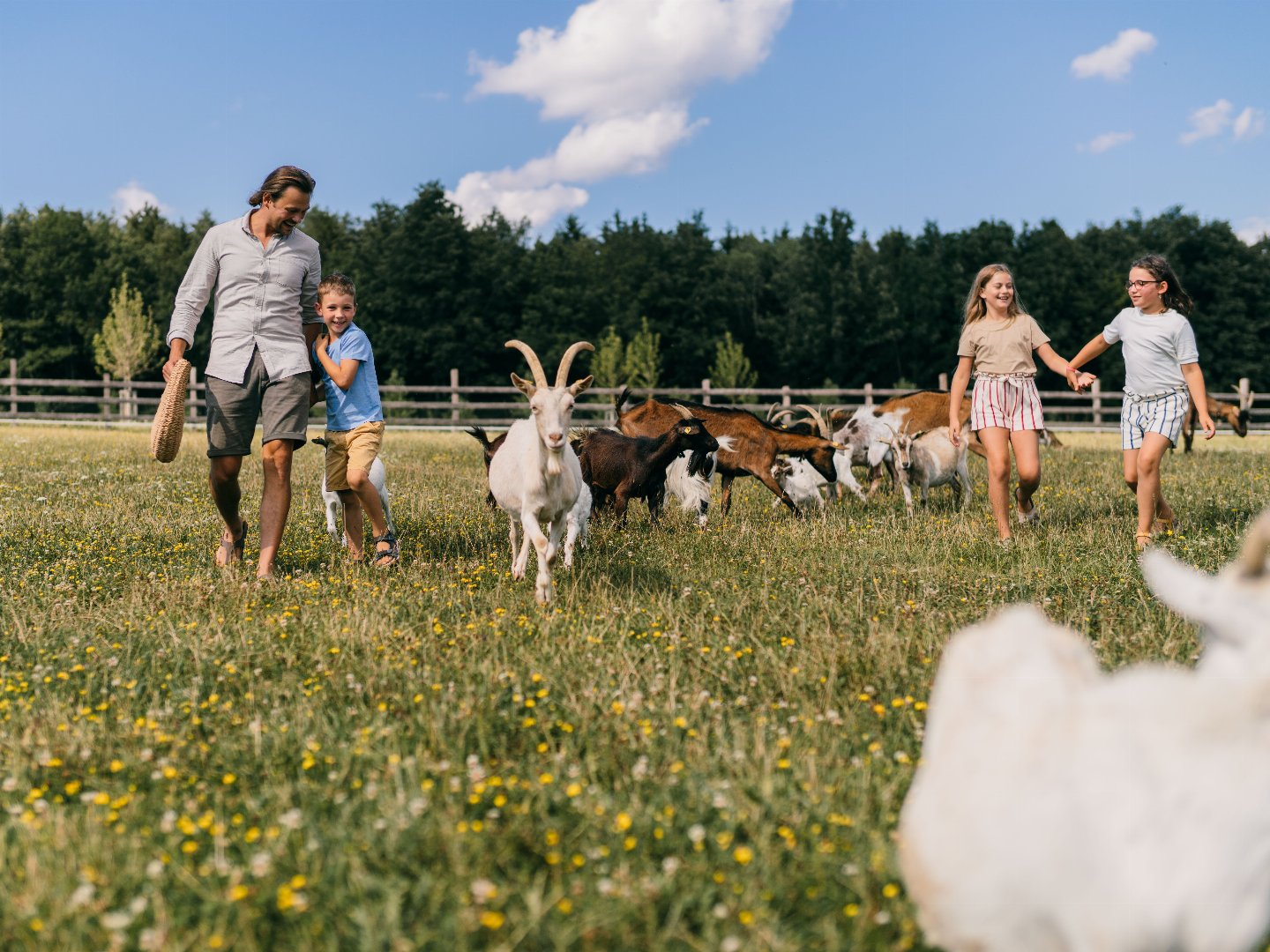 All Inklusive Wellnessauszeit für die ganze Familie im Reiters Finest Family Bad Tatzmannsdorf |