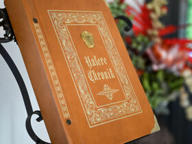 Romantische Auszeit in der Steiermark inkl. Picknick | 2 Nächte