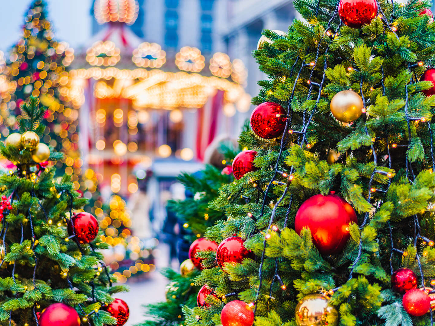 3 Tage - Himmlische Vorweihnachtszeit im Harz im gemütlichen Apartment