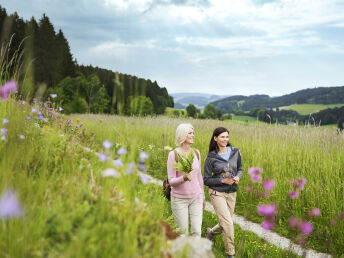 Kurze Wellness-Auszeit in Oberösterreich | 2 Nächte