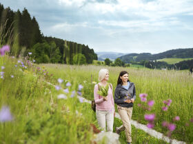 Wellness-Auszeit in Oberösterreich | 4 Nächte