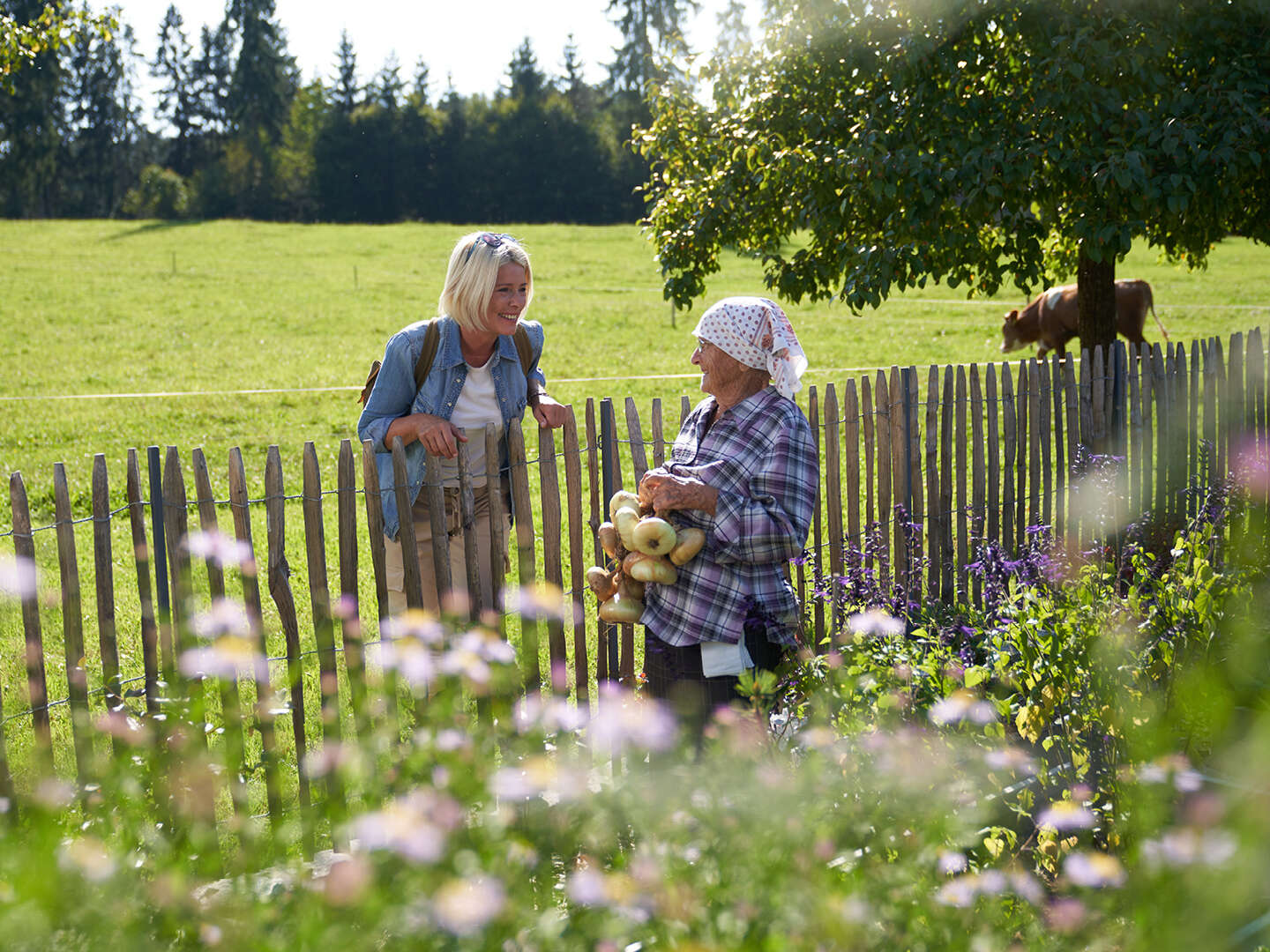 Kurze Wellness-Auszeit in Oberösterreich | 2 Nächte