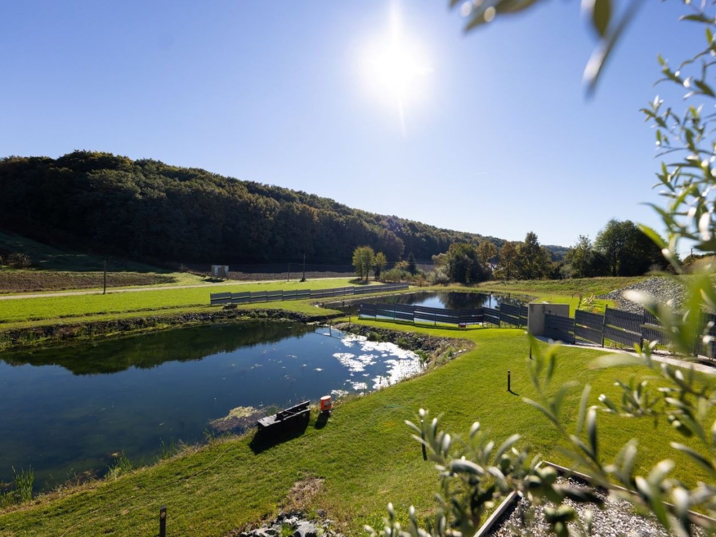 Feiertagsangebot im Südburgenland - Sonne & Wellness im neuen Hotel in Kukmirn
