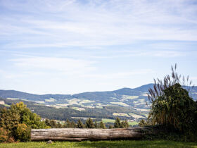 Silvester HIT in Kukmirn mit Galabuffet & Neujahrsgeschenk | 4 Nächte