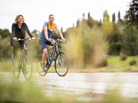 Aktivurlaub mit E-Bike-Verleih im sonnenreichen Burgenland | 4 Tage