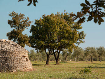 Entspannungsurlaub - Zur Ruhe kommen in der Umgebung von Castel del Monte | 6 Nächte