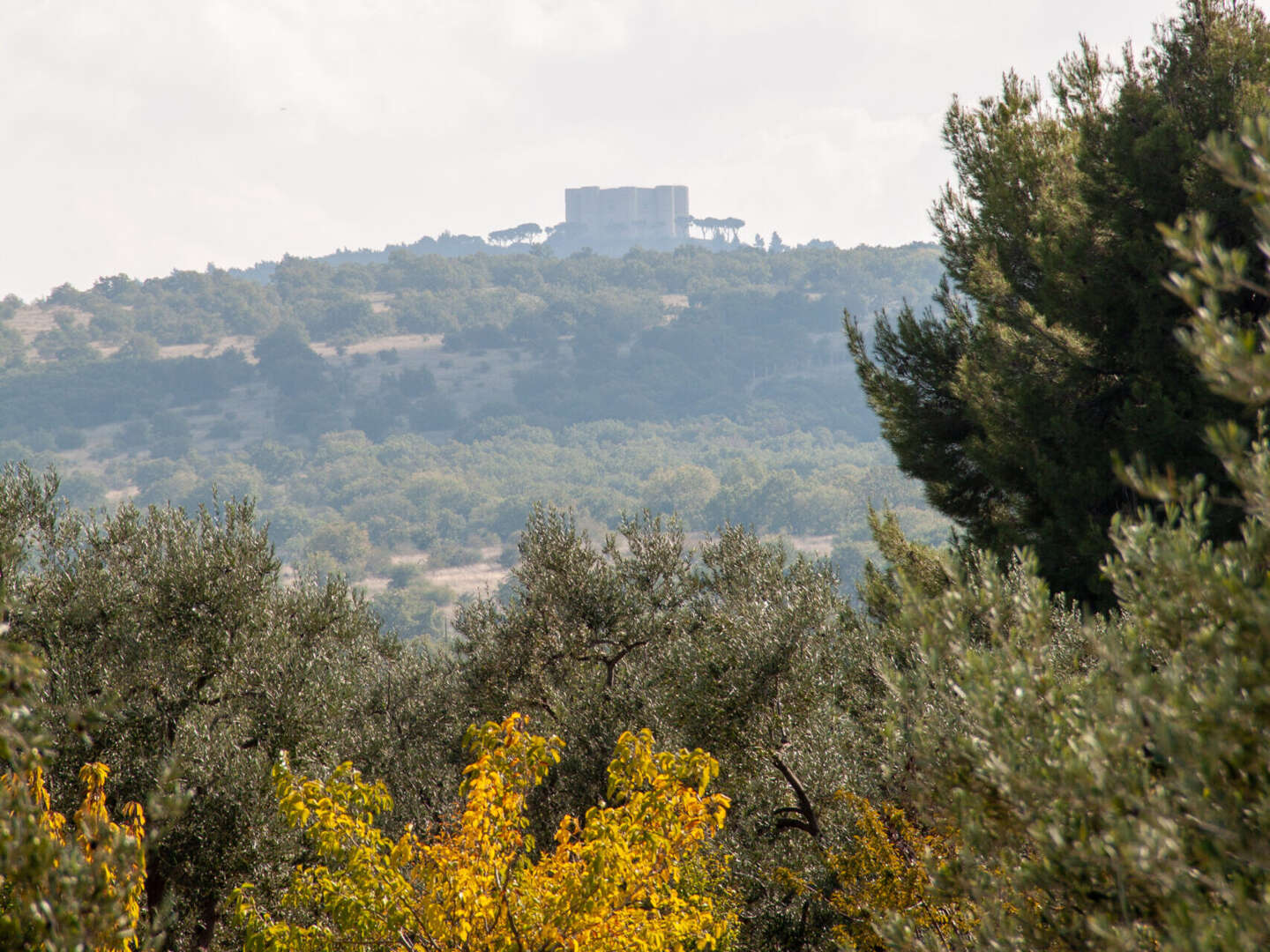 Entspannungsurlaub - Zur Ruhe kommen in der Umgebung von Castel del Monte | 6 Nächte