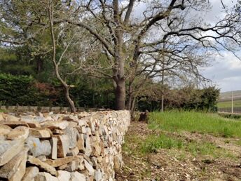 Entspannungsurlaub - Zur Ruhe kommen in der Umgebung von Castel del Monte | 6 Nächte