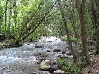 Auszeit in der Natur - Erholungsurlaub am italienischen Bio-Bauernhof| 5 Nächte