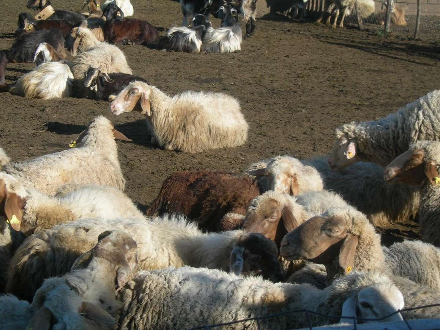 Auszeit in der Natur - Erholungsurlaub am italienischen Bio-Bauernhof| 2 Nächte