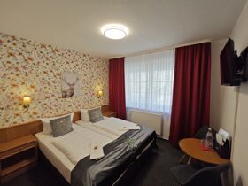 Erlebnis-Auszeit im Harz - 3 Urlaubstage in Ilsenburg 