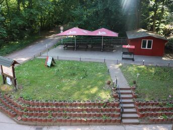 5 Weihnachtstage im Ilsetal im Harz inkl. Halbpension