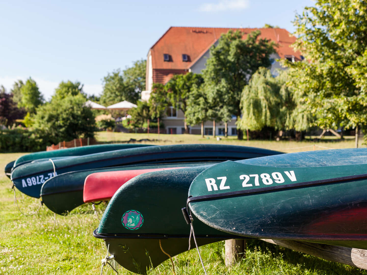 Vier Pfoten - Urlaub mit dem besten Freund inkl. Eintritt Bärenwald Müritz