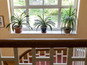 8 Tage Seenplatte mit Paddel und Pedale Leihfahrrad inklusive