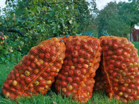 8 Tage Seenplatte mit Paddel und Pedale Leihfahrrad inklusive