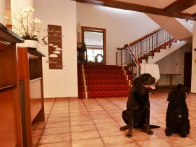 Romantische Auszeit vom Alltag am Bodensee