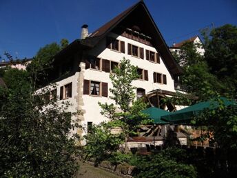 Auszeit mit  Freunden oder Freundinnen am Bodensee 