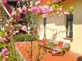 4 Tage Kurzurlaub - Auszeit vom Alltag an der Müritz