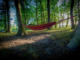 4 Tage Kurzurlaub - Auszeit vom Alltag an der Müritz