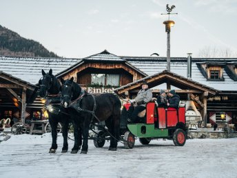 Weihnachten am GUTShof  | 4 Nächte