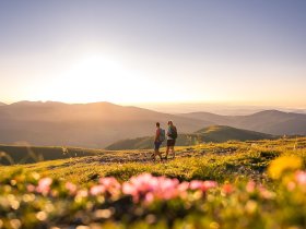 Familienzeit inmitten der Kärntner Nockberge inkl. Kärnten Card | 6 Nächte
