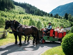 Familienzeit inmitten der Kärntner Nockberge inkl. Kärnten Card | 6 Nächte