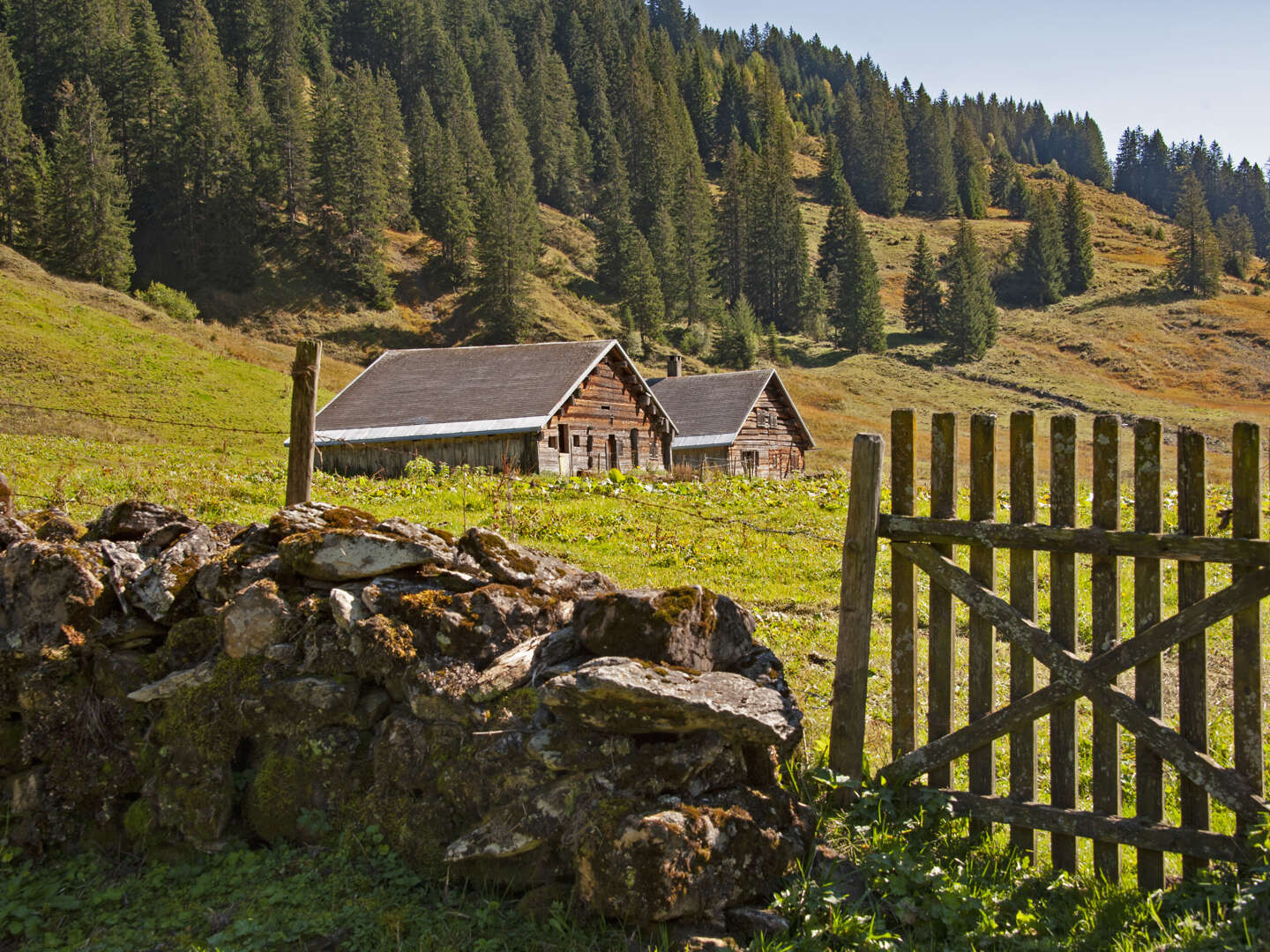 Hundtastisch | Wanderurlaub mit Hund in der Region Bodensee | 3 Nächte