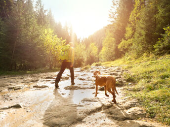 Hundtastisch | Wanderurlaub mit Hund in der Region Bodensee | 3 Nächte