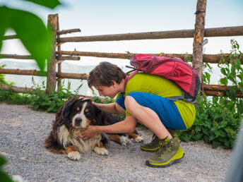 Pfotenglück im Laternsertal | Urlaub mit Hund im JUFA Hotel Laterns***s | 7 Nächte  