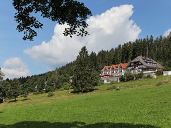 Unvergesslicher Aufenthalt im Schwarzwald: Thermen-Erlebnis & Natur pur I 2 Nächte