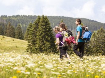 Unvergesslicher Aufenthalt im Schwarzwald: Thermen-Erlebnis & Natur pur I 2 Nächte