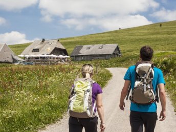 Unvergesslicher Aufenthalt im Schwarzwald: Thermen-Erlebnis & Natur pur I 2 Nächte