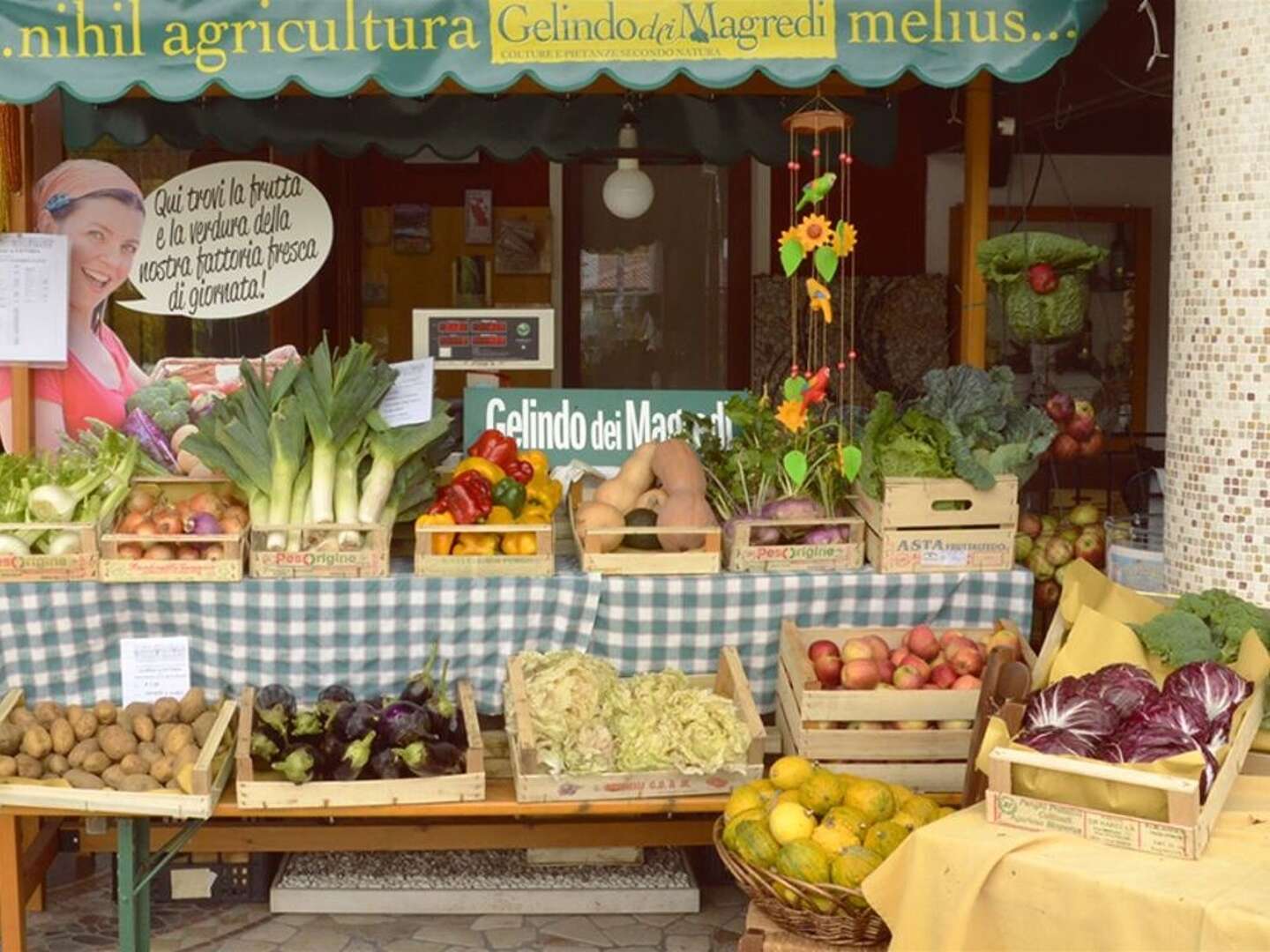 Entspannender Kurzurlaub zwischen den Dolomiten und der Adria | 7 Nächte
