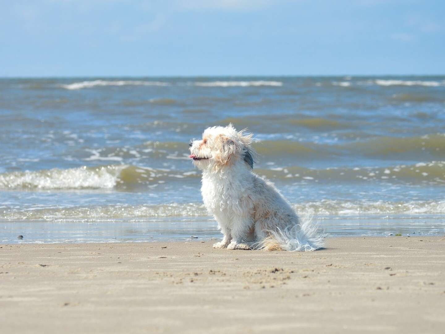 Deine perfekte Auszeit an der Nordsee