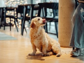 Städtetrip nach Graz - Entdecke die Kulturhighlights der Stadt