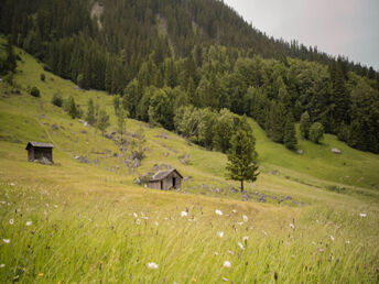 Wandern in den Bergen Montafons