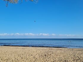 Halbpension Plus2 2025