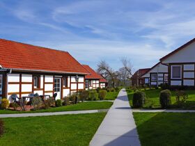 Halbpension Plus 2026 - 2