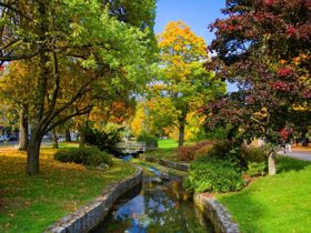 Komplexe Heilkur im Hotel Olympia inkl. Vollpension | 8 Tage 