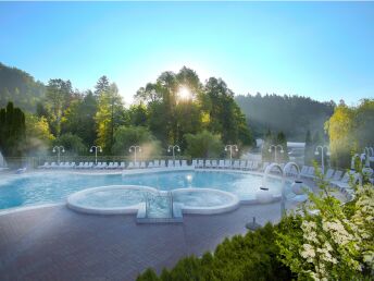 Romantikurlaub in der slowenischen Therme Topolšica inkl. Massage & Halbpension | 4 Nächte 