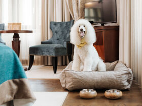 Ostertage mit Ostertradition in der slowenischen Therme inkl. Oster-Animation | 3 Tage