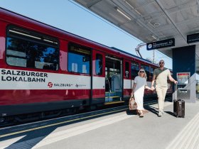 Stadt-Land-Anthering. Kultururlaub vor den Toren Salzburgs I 2 Nächte