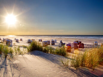 5 Tage Romantischer Urlaub an der Nordsee direkt am Elberadweg   