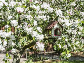 4 Tage Tage Wohlfühlzeit an der Nordsee direkt am Elberadweg